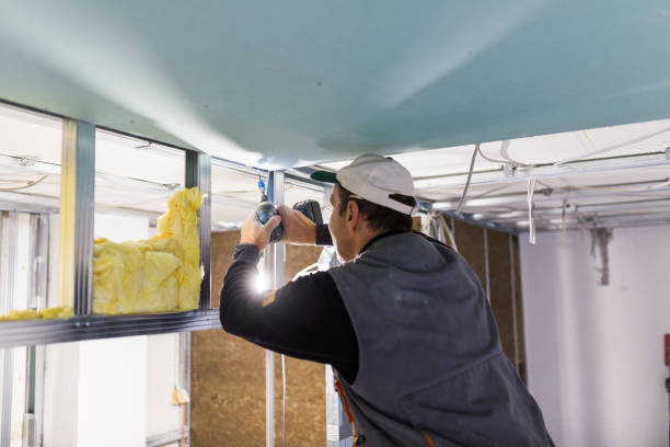 Best Energy Efficiency Insulation in Lost Hills, CA