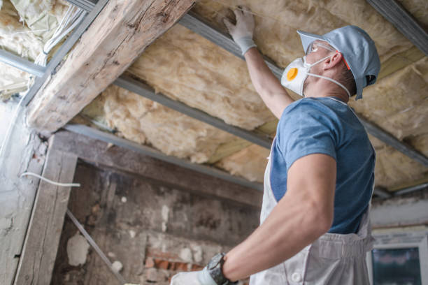 Best Geographic-Specific Insulation Services in Lost Hills, CA