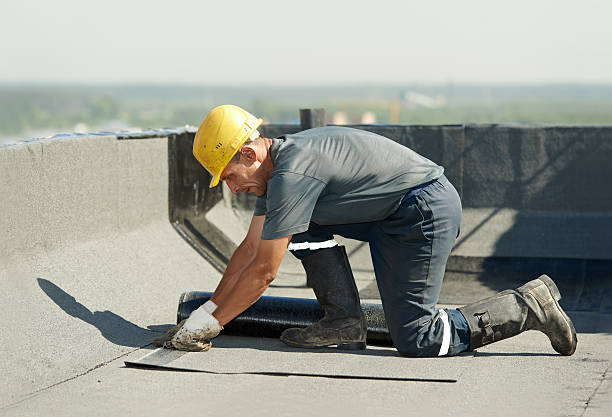 Best Eco-Friendly Insulation in Lost Hills, CA
